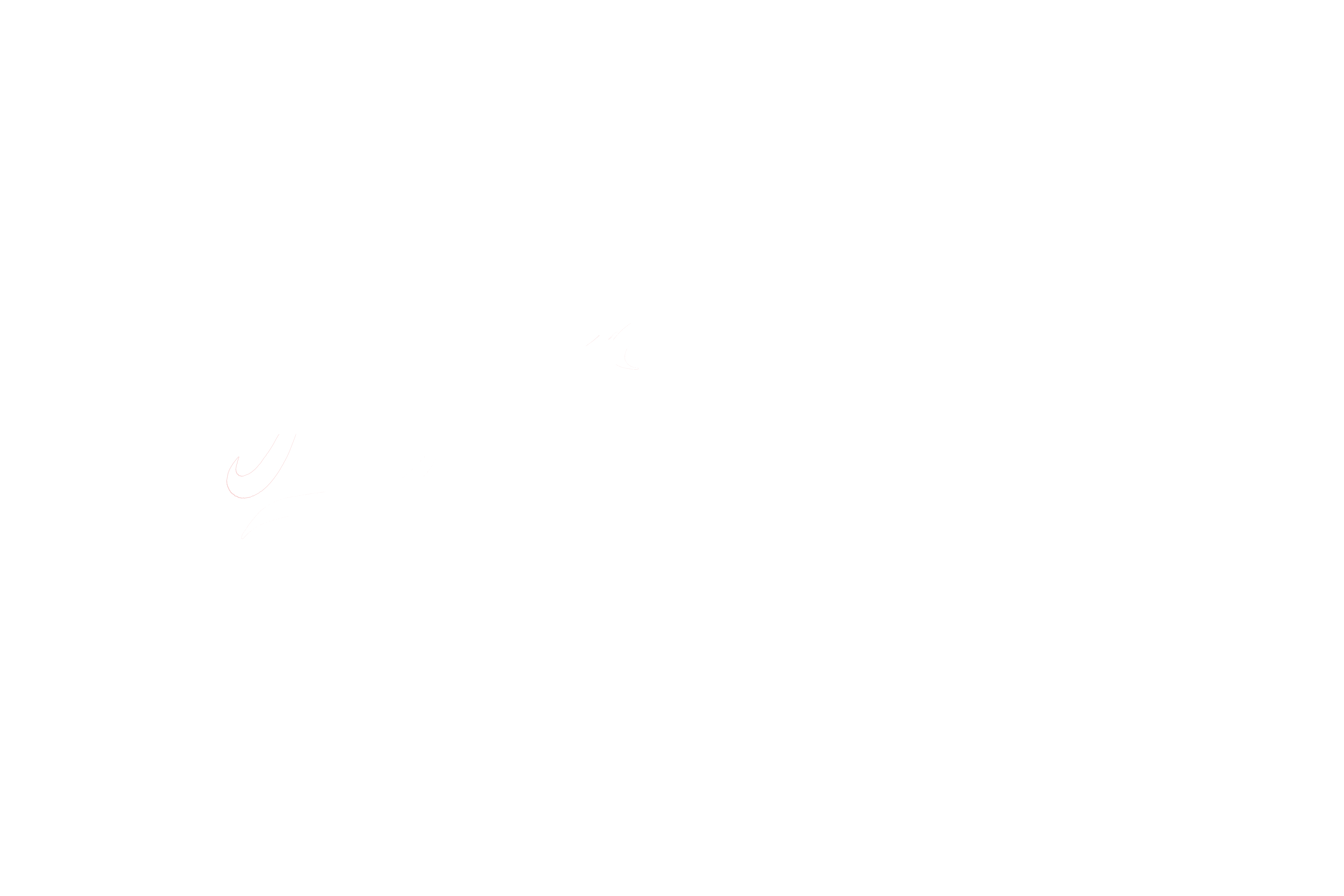 Next Journey